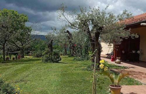 Residence Grimani - Photo 32