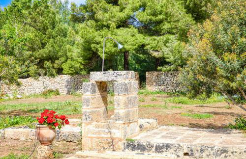 Masseria Scafazzi - Salento - Foto 11