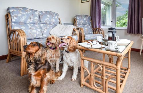 2 Bed in Falmouth oc-tvean - Foto 11