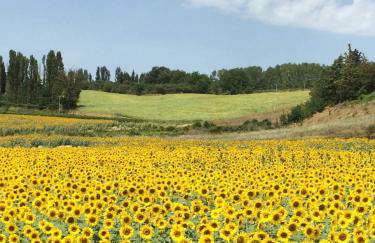 Grove Cottage: Immersed in nature & close to town - Photo 18