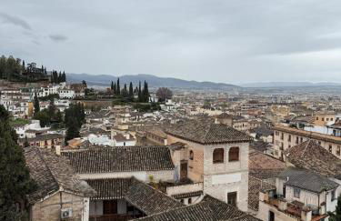 Spectacular Alhambra view roof terrace penthouse - Foto 8