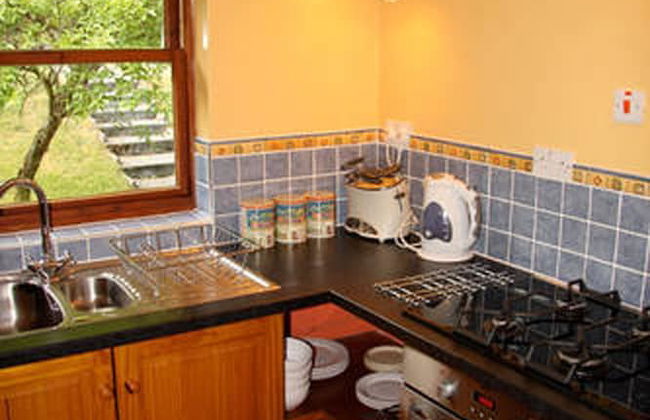 Cwm Irfon Lodge Cottages - Photo 11