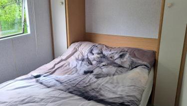 Ulinia Wilcza 4 beżowy - Foto 5