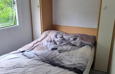 Ulinia Wilcza 4 beżowy - Photo 5