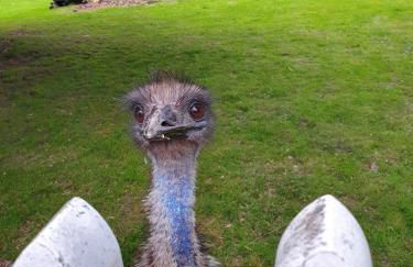 "Bedroo" Ferienwohnung am historischen Hafen - Foto 20