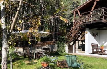 Chalet Natura Sport&Relax - Foto 25