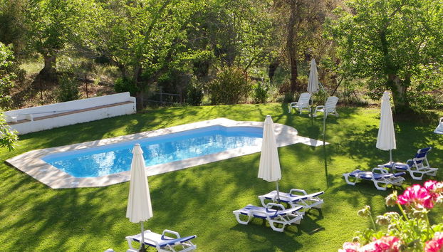 Finca la Media Legua - Foto 3