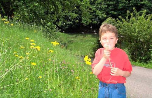 Ferienwohnung In der Ruhl - Photo 23