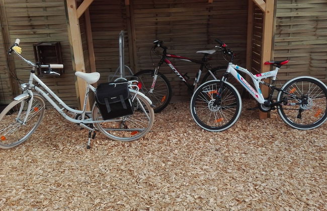 Ferienwohnungen Paul und Dorothea - Foto 35