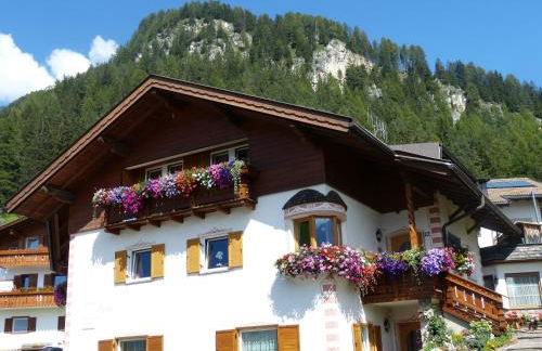 Cesa Paula - Photo 1