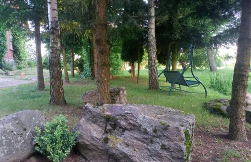 Agroturystyka Pod Dębem - Foto 12