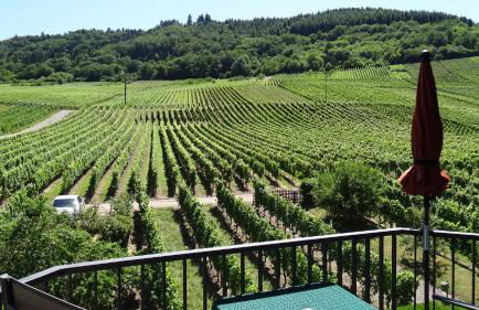 Haus Weingarten FERIENWOHNUNGEN - Foto 16