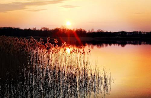 Szary Domek - Foto 17