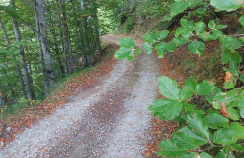 Da Castruccio degli Antelminelli - Foto 35