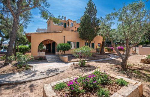 Paz y Mar, Santa Ponsa - Foto 50