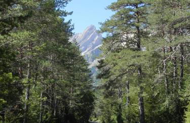 Caserón Baruca - Photo 11