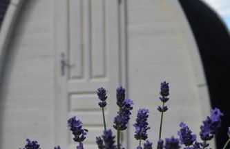 Kapitänshaus Zerpenschleuse Holiday Chalet - Photo 22