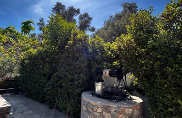 Aithonas Villa - Foto 61