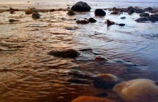 Rez de Jardin Terrasse Literie Haut de gamme Proche Gare et Hyper Centre - Foto 20