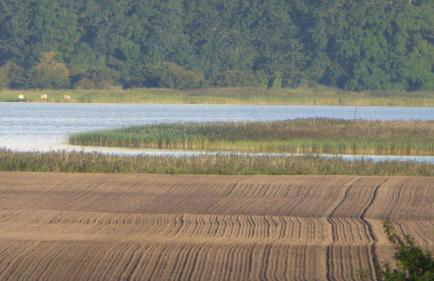 Gut-Rattelvitz-Parterre-A-hochwertig-Sauna-Kamin-eTankstelle-Spielscheune-15-000qm-Parkland - Foto 70