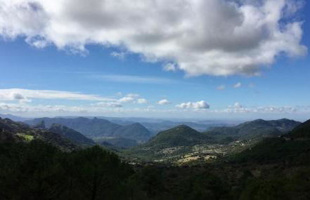 CASA EL CALLEJON DE BENAMAHOMA - Foto 45