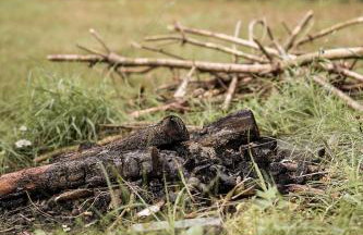 Agroturystyka Gajówka Pilica - Foto 66