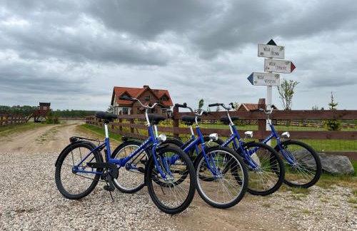 Mazurskie Wille - Willa Niebieska - siedlisko na Mazurach z bezpośrednim dostępem do jeziora Dejguny oraz prywatnym basenem - Foto 42
