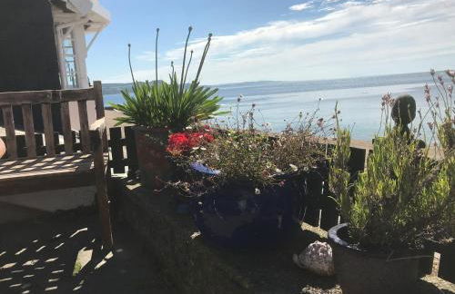 Dolphin Cottage Lyme Regis - Photo 15