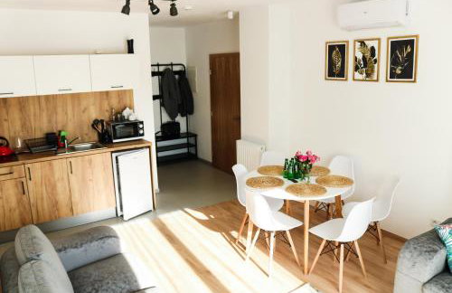 Willa VITA Muszyna - rodzinne apartamenty blisko natury i atrakcji - 15min pieszo do centrum - 15min autem do stoku - Foto 50