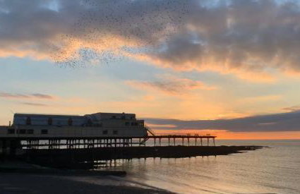 Luxury Sea View Apartment - One Bedroom - Foto 23