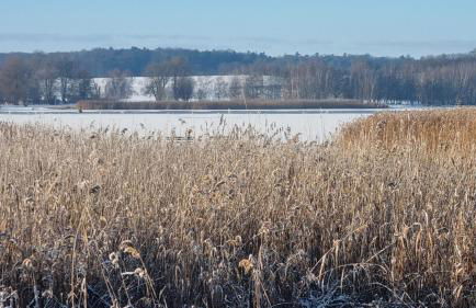 Fewo Usedom Peene Idyll - Foto 36
