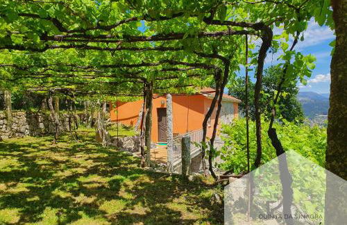 Quinta da Vinagra - Foto 3