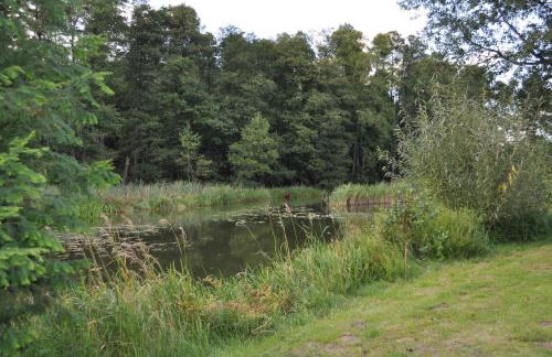 Mlyn Wodny EKO Hillar - Foto 38