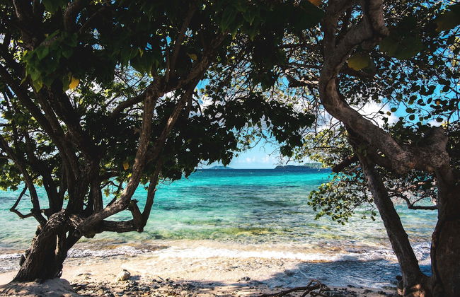 Beachfront Villas at Crystal Cove - Photo 39