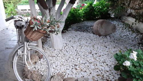 Flower house - Foto 2