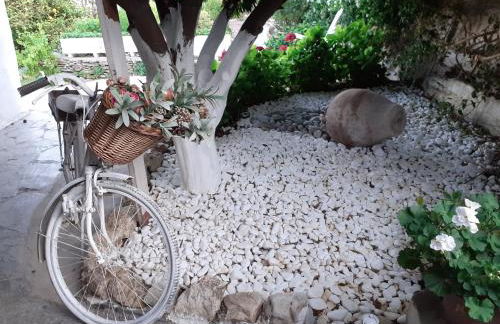 Flower house - Foto 2