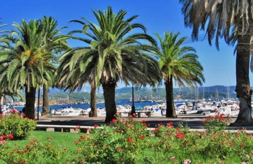 Dolce Casa - Photo 16