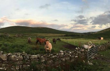 Idyllic Dartmoor Cottage - Foto 14