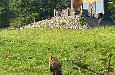 Repakowa Chata - Foto 61