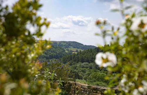 Five Acres - Foto 37