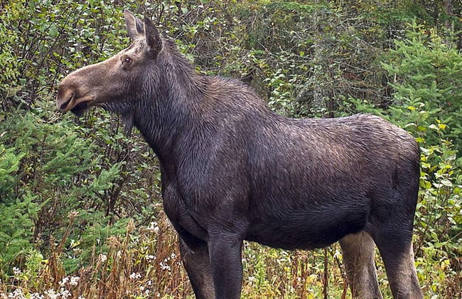 8 Person Holiday Home in Bralanda-by Traum - Photo 13