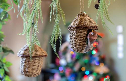 Vignes & Tropiques - Terrasse - Wifi - Clim - Parking - Photo 10