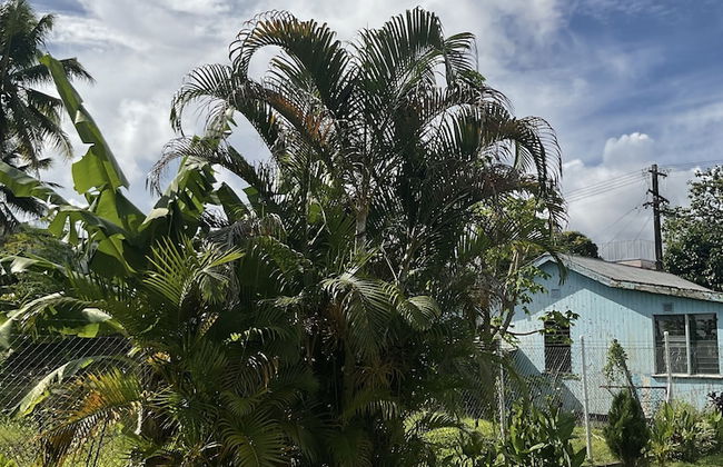 Fox Homestay - Photo 79