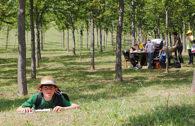 Holiday Resort Contea dei Ciliegi Pedaso - Foto 76