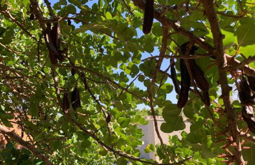 Villa Santa Lucia - Foto 41