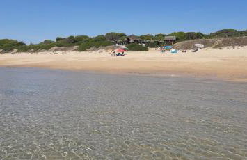 Casa Palmera - Foto 17