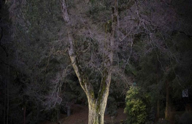 Rincon de los Andes Resort - Foto 56