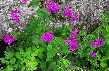 Luxe gîte met authentieke kamers in de Creuse, France - Photo 36