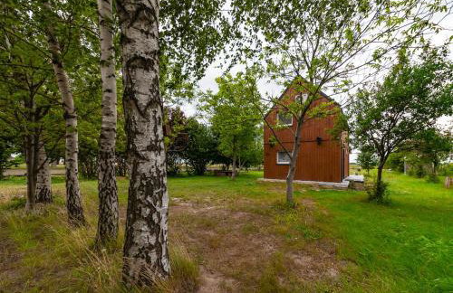 Chatka Czarodzieja - Foto 3