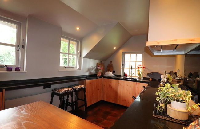 Villa in Ommen With Private Pond - Foto 8